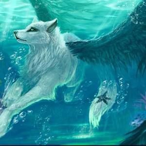 Meet your Posher, Kathleen